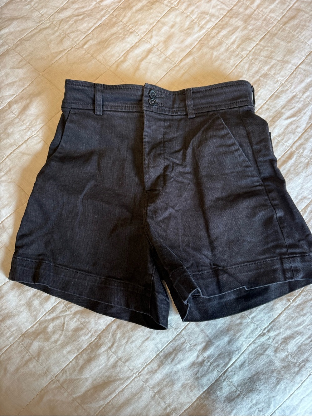 Everlane Way High Canvas Short